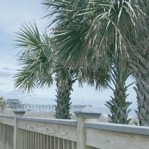 Meet your Posher, Dnyria